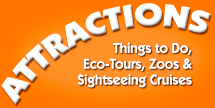 Business Directory Link for ATTRACTIONS & THINGS TO DO